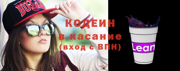 крисы Абаза