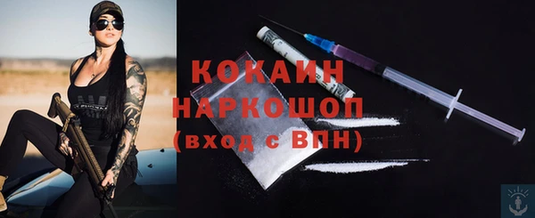 крисы Абаза
